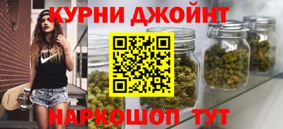гашик Можга