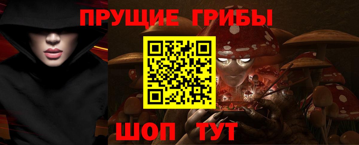 Галлюциногенные грибы Psilocybe  Вход с VPN  Туймазы 